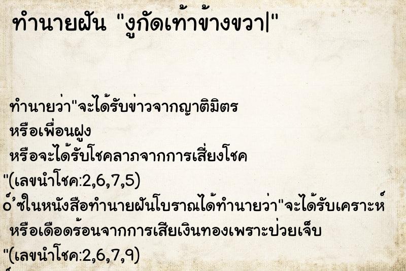 ทำนายฝันงูกัดเท้าข้างขวา| ทำนายฝันทำนายฝันงูกัดเท้าข้างขวา|